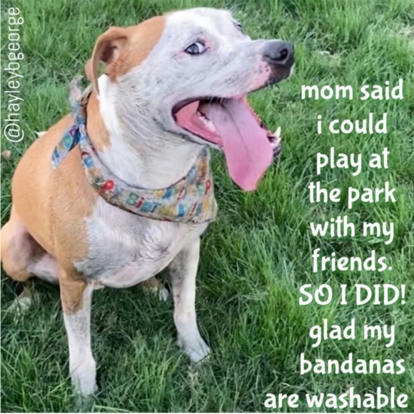 Reggie in Bowties | Monsters Inc. Disney Movie Print Bandana - Picture 11 of 11